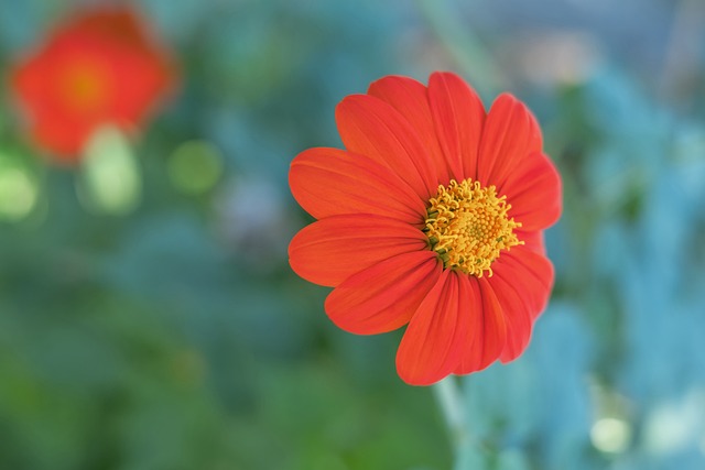 和身价常常 和身价常常