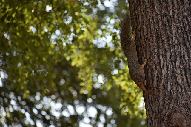 超越场上的 超越场上的