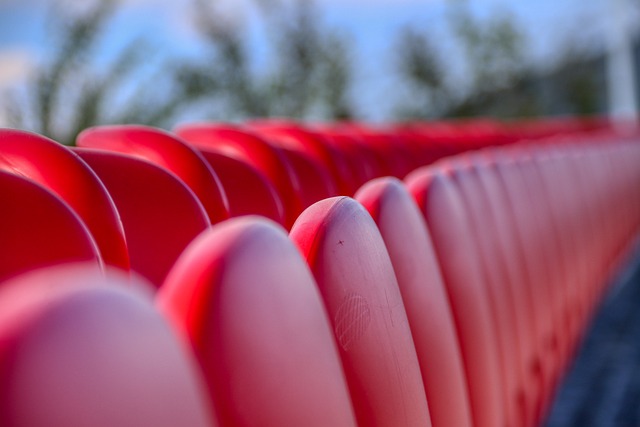 确保了他们 确保了他们