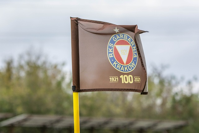 支被看好的 支被看好的