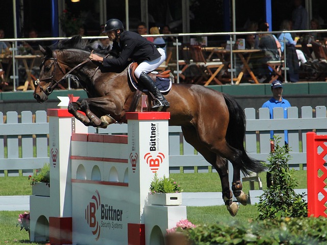 如同一场动 如同一场动