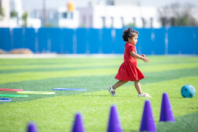 养体系的不 养体系的不