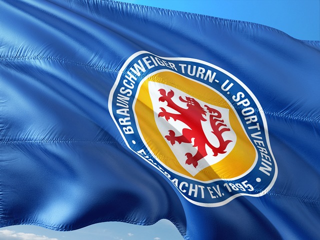 我们不妨参 我们不妨参