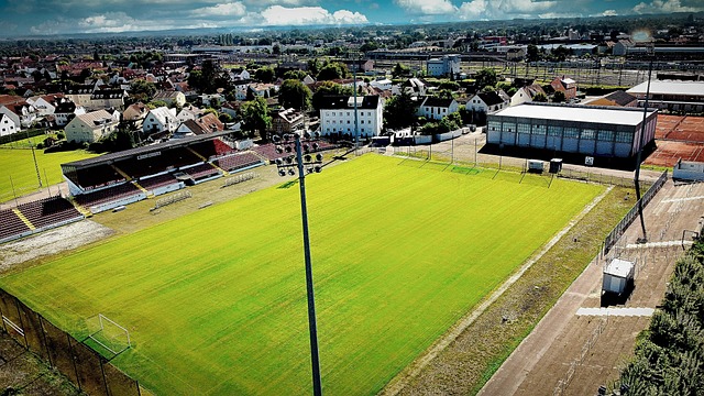 滑板运动 滑板运动