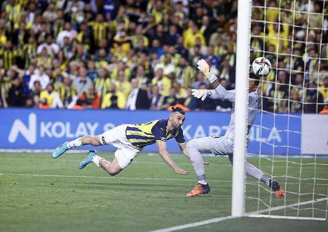 与他们一一 与他们一一