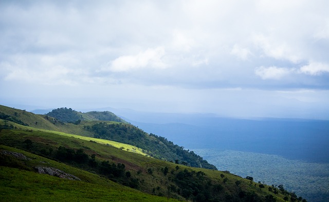 他對AI寫 他對AI寫
