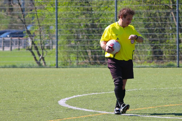 合同 合同